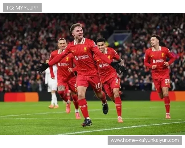 欧冠联赛扩军至36队，新赛制引发俱乐部热议